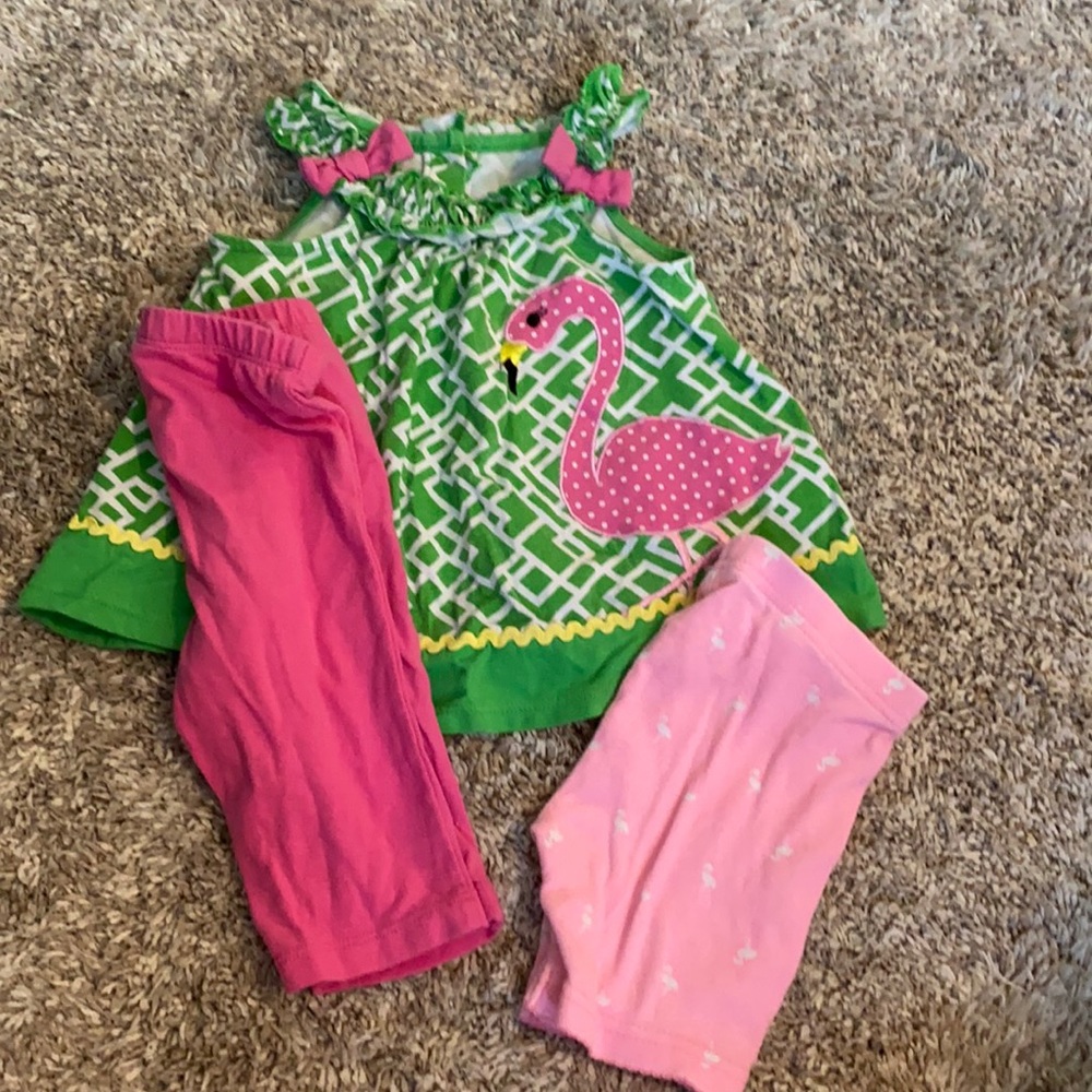 12 month flamingo bundle